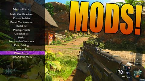 Image result for Bo3 Mod Der