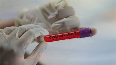 Omicron sub-variant BA.2 will quietly replace it: Australian scientists ...