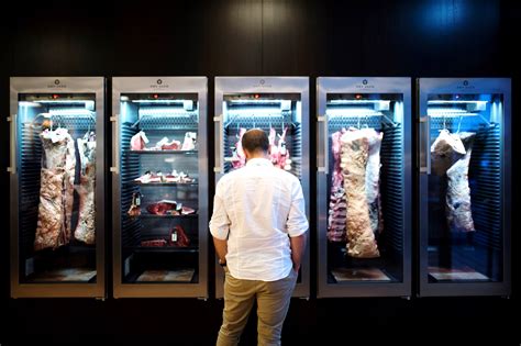 Meat Dry Aging Cabinets | Cabinets Matttroy