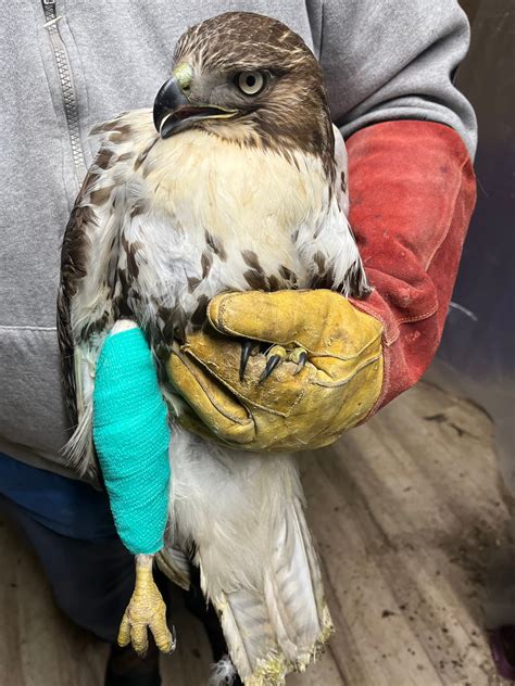 - Humane Society of Sheboygan County