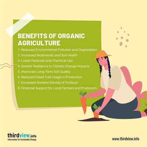 Organic Agriculture 的图像结果