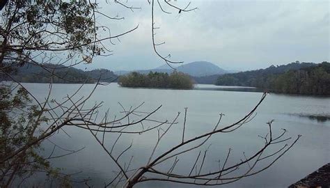 Neyyar Wildlife Sanctuary Guide To Explore Its Stunning Beauty In 2026
