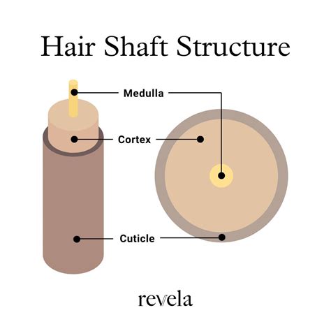 Strands Hair Washago at Stephanie Gaspard blog