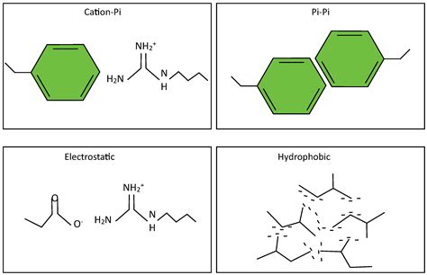 Partitioning Biochem Definition at Michael Brehm blog