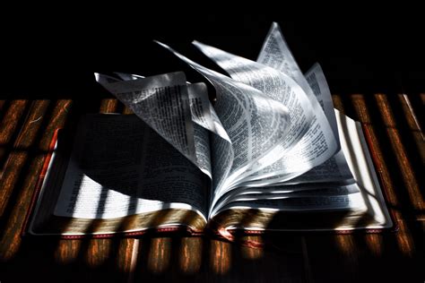 Image result for JavaScript Tech with Tim