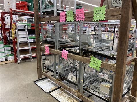 RURAL KING - 6520 Mall Rd, Morgantown WV - Hours, Directions, Reviews - Loc8NearMe