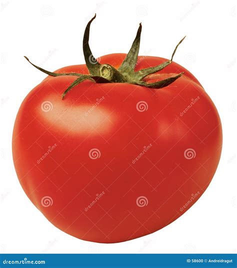 Tomato 库存图片. 图片 包括有 叶子, 黄色, 有机, 维生素, 果子, 来回, 查出, 剪切, 部分 - 10692031