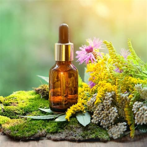 Buy Spring Fragrance Oils Online at Best Price | Spring Fragrance Oil ...