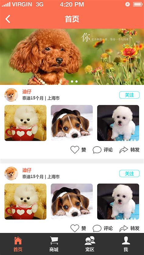 宠物App_gpp1251-站酷ZCOOL