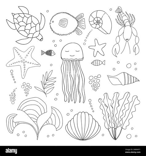 Big sea animals set Stock Vector Image & Art - Alamy