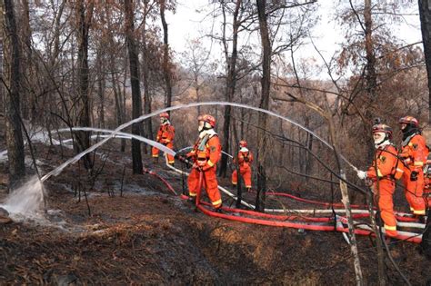2020年台州市扑救森林火灾应急演练在玉环举行-台州频道