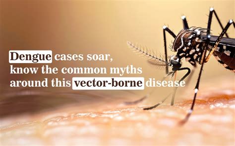 Dengue Cases Surge: Busting Myths About This Disease – Healing Pharma