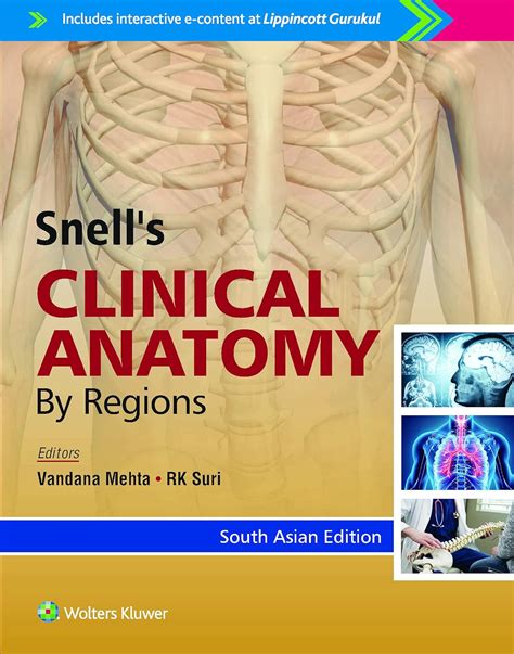 Snell’s Clinical Anatomy By Regions South Asian Edition : Richard S ...