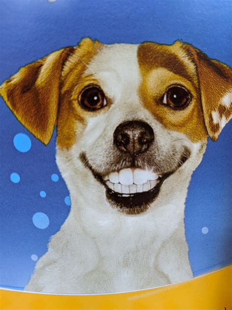 Dog With Human Teeth