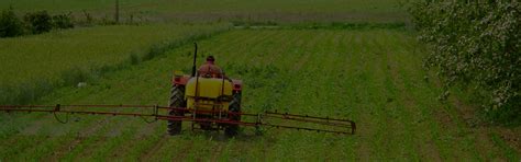 Buy Micronutrient Fertilizers for Plants at Best Prices in India