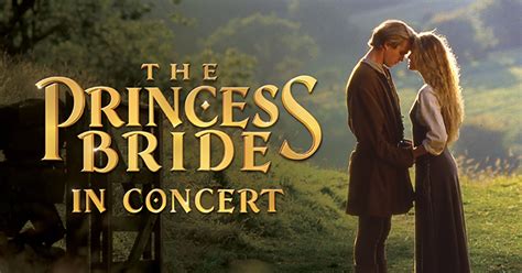 Image result for Princess Bride Guitar