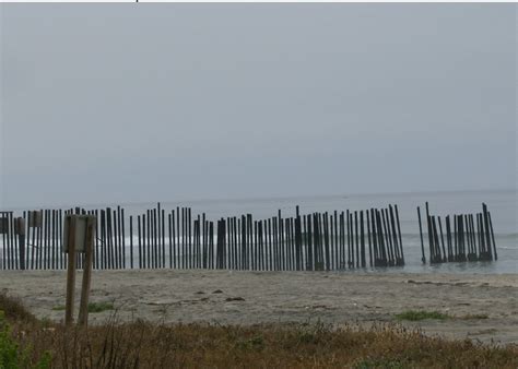 About — josé felipe alvergue