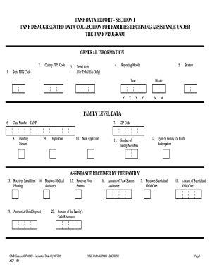 Fillable Online TANF Disaggregated Data Collection for Families ...