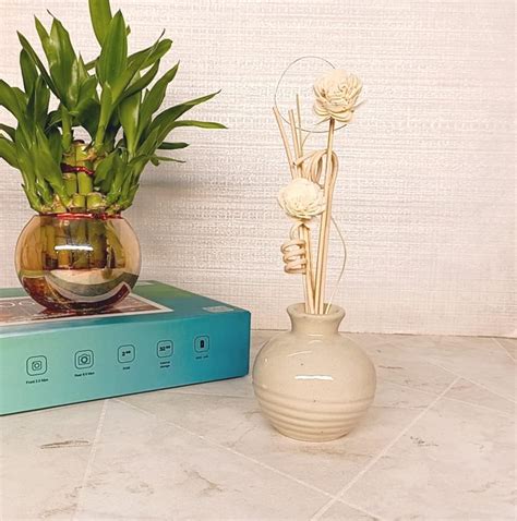 Decorlily Ceramic Flower & Spiral Reed Diffuser Perfect for Home Decor ...