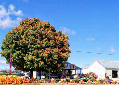 Sproles Family Funeral Home... - Sproles Family Funeral Home