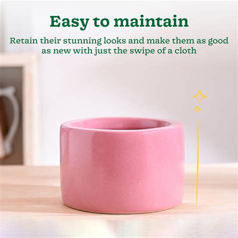 Lilac Stories Bowl Ceramic Planter – Ugaoo