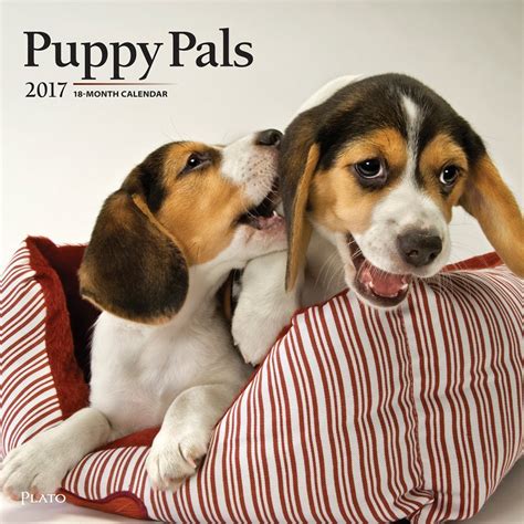 Puppy Pals 2017 - 12inch x 12inch Hanging Square Wall Photographic Dog ...