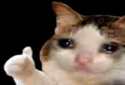 "thumbs up" Meme Templates - Imgflip