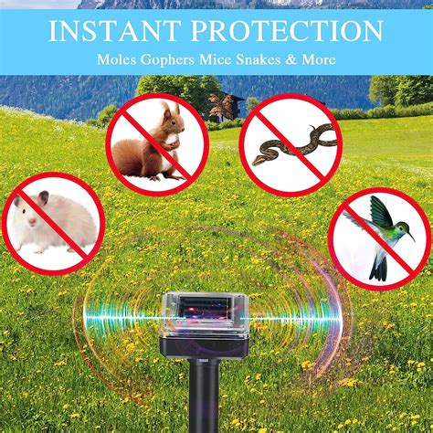 Buy Kittmip Solar Mole Repellent Ultrasonic Powered Outdoor Sound Wave ...