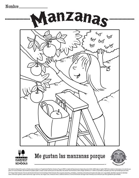 Collection of Spanish Coloring Pages - Free Printable