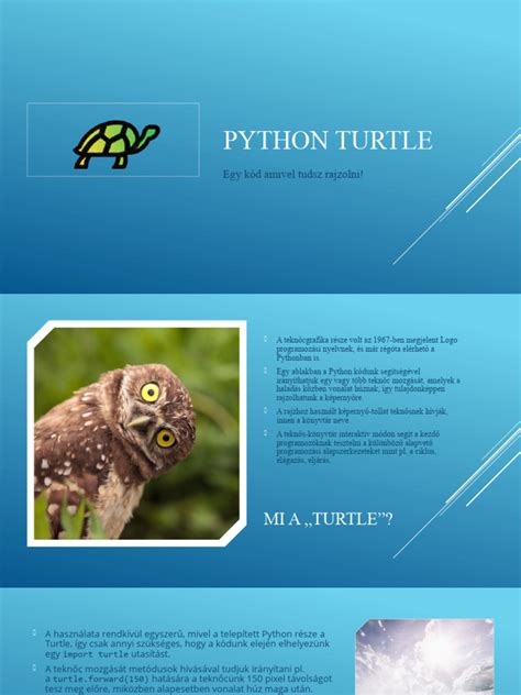 Image result for Python Turtle PDF