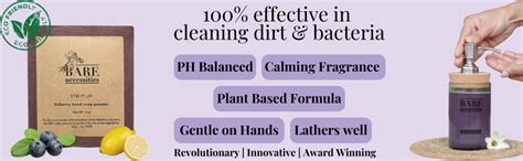 Buy Bare Necessities Powder to Liquid Handwash Soap with Citrus ...