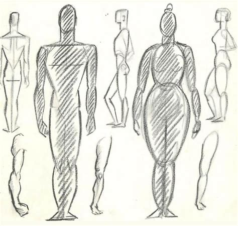 Image result for Basic Human Figure Drawing