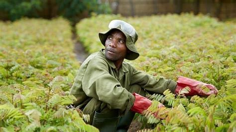 Transformation 2.0 - Making it sustainable | Philip Morris International