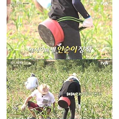 Korean Wearable Working Stool/Farm Sitting Stool / 4 | Ubuy India