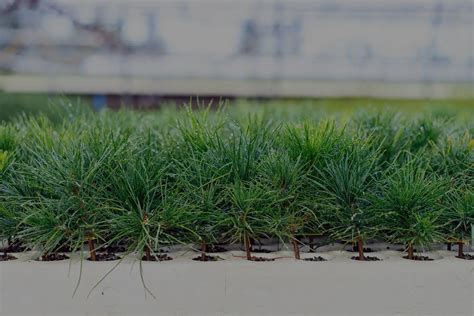 Lumber Machine 的图像结果