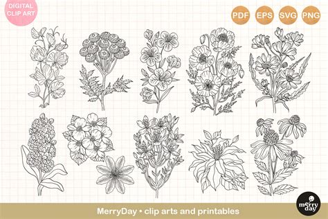 Flower Outline Clipart | Best Flower Site