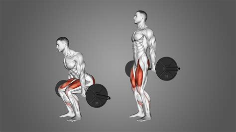 Barbell Hack Squat: 4 Major Benefits and Muscles Worked - Inspire US
