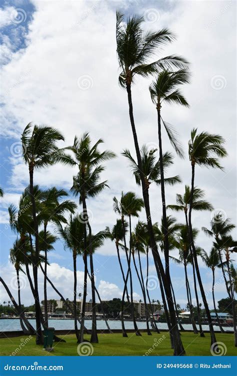 Niumalu Beach at Kailua Bay in Kailua-Kona on the Big Island in Hawaii ...