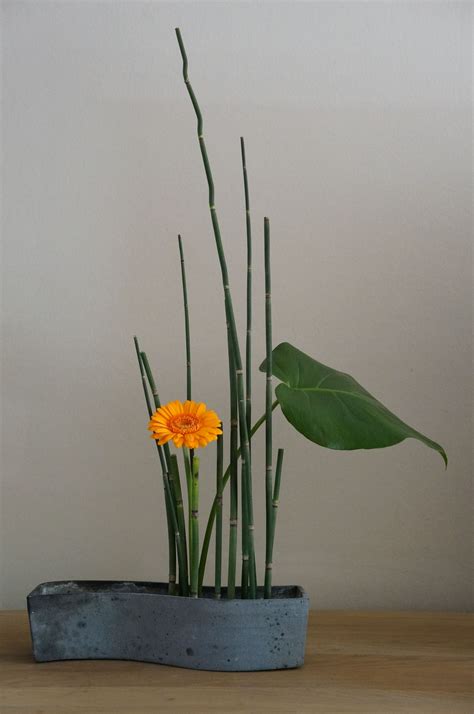 Ikebana Japanese Flower