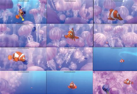 Finding Nemo Jellyfish 2007 的图像结果