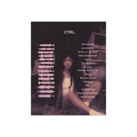 SZA 'CTRL' Album Cover Satin Poster - Etsy