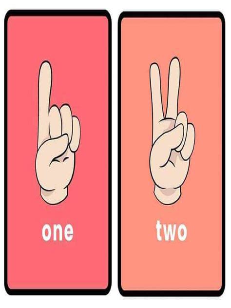 Image result for Counting Numbers Example