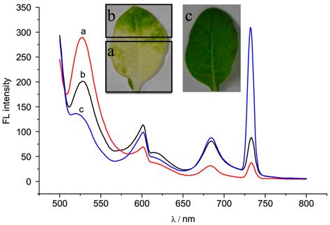 Proximal Methods for Plant Stress Detection Using Optical Sensors and ...