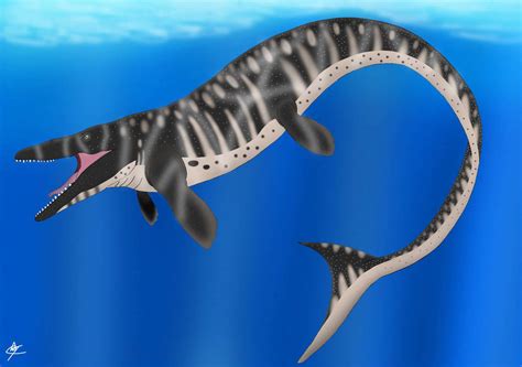 Image result for Mosasaurus
