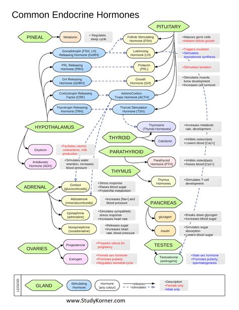JavaScript PHP 的图像结果