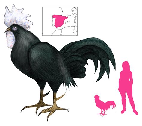 Spanish folklore | A Book of Creatures