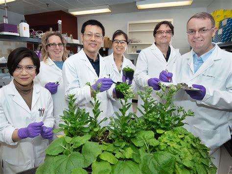 Plant Scientist 的图像结果