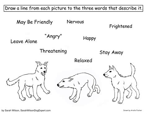 Describe a Dog in 3 Words