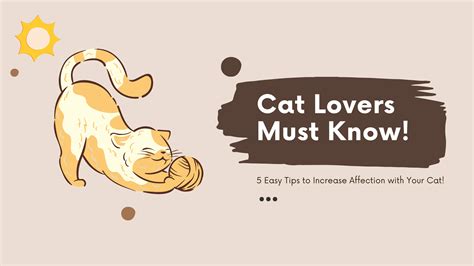 Image result for Cat Affection