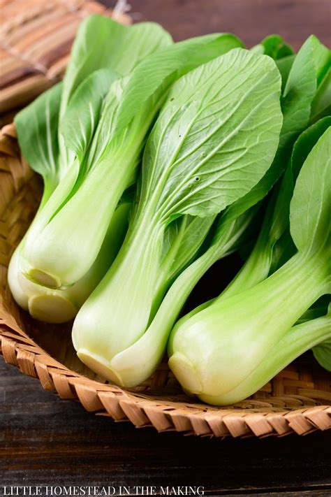 The best bok choy companion plants – Artofit